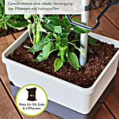Gusta Garden Anzucht-Set Chili-Starter-Set (5 -tlg., Hellgrau) | BAUHAUS