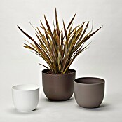 Pflanztopf Rio Greener (Außenmaß (Ø x H): 35 x 28 cm, Kunststoff, Taupe) | BAUHAUS