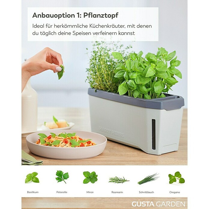 Gusta Garden Anzucht-Set Chili-Starter-Set (5 -tlg., Hellgrau) | BAUHAUS