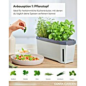 Gusta Garden Anzucht-Set Chili-Starter-Set (5 -tlg., Hellgrau) | BAUHAUS