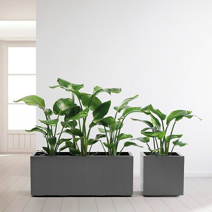 Pflanzkasten Greener KEBE (Außenmaß (L x B x H): 99,5 x 39,5 x 39,5 cm, Kunststoff, Anthrazit) | BAUHAUS