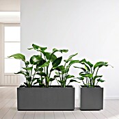 Pflanzkasten Greener KEBE (Außenmaß (L x B x H): 99,5 x 39,5 x 39,5 cm, Kunststoff, Anthrazit) | BAUHAUS