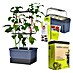 Gusta Garden Anzucht-Set Chili-Starter-Set 