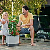 Gusta Garden Pflanzgefäß Tom Tomato (68,7 x 103,5 x 27,7 cm, Hellgrau, 3 -tlg.) | BAUHAUS