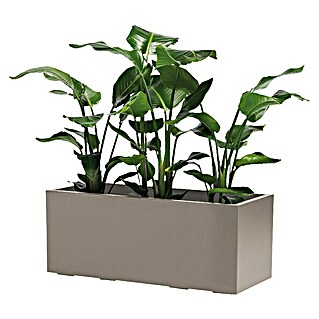 Pflanzkasten Greener KEBE (Außenmaß (L x B x H): 99,5 x 39,5 x 39,5 cm, Kunststoff, Taupe)