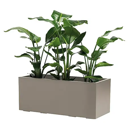 Pflanzkasten Greener KEBE