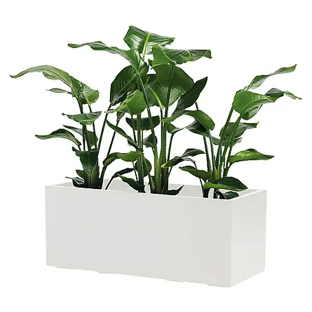 Pflanzkasten Greener KEBE