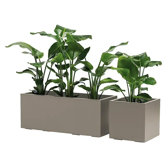 Pflanzkübel Greener KEBE - Außenmaß (L x B x H): 39,5 x 39,5 x 39,5 cm, Kunststoff, Taupe - Elegante Außenpflanzgefäße: Eine rechteckige und eine quadratische Gefäßvariante in stilvollem Grau, ideal für die Gartengestaltung und Außenbereiche.