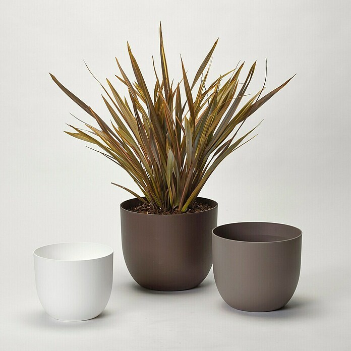 Pflanztopf Rio Greener (Außenmaß (Ø x H): 35 x 28 cm, Kunststoff, Braun) | BAUHAUS
