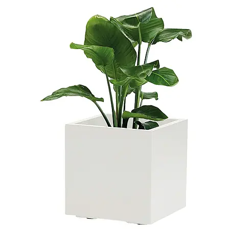 Pflanzkübel eckig Greener KEBE