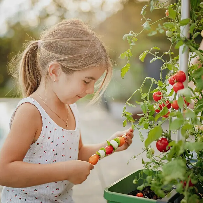Gusta Garden Pflanztopf Tom Tomato - 68,7 x 103,5 x 27,7 cm, Dunkelgrün, 3 -tlg. - Ein Mädchen hält einen Spieß mit Tomaten und Mozzarella, der von einem Tomatenstrauch stammt.