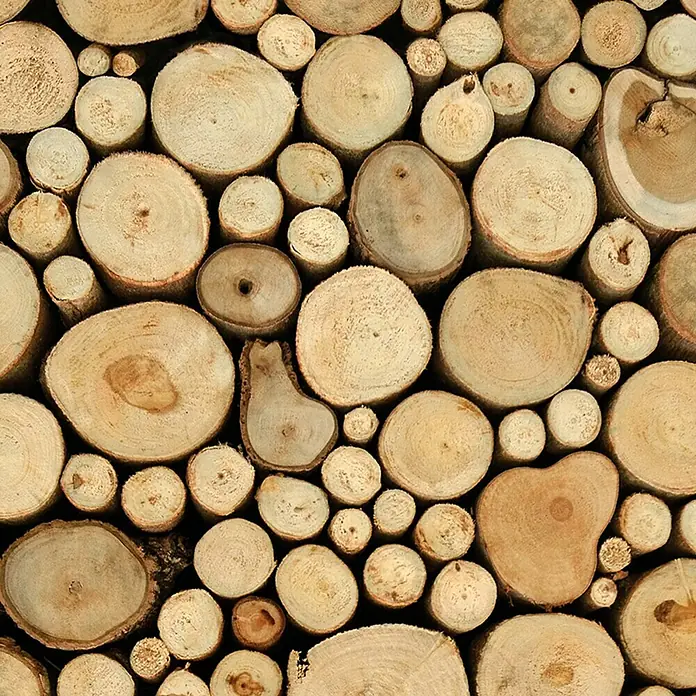 A.S. Création Designpanel pop.up - Holz, Braun/Beige, 35 cm x 2,5 m - Nahaufnahme von gestapelten Baumstämmen. Die Holzscheite haben unterschiedliche Größen und Formen mit sichtbaren Jahresringen.