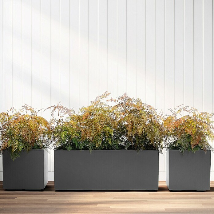 Pflanzkasten Greener KEBE (Außenmaß (L x B x H): 99,5 x 39,5 x 39,5 cm, Kunststoff, Anthrazit) | BAUHAUS