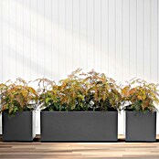 Pflanzkasten Greener KEBE (Außenmaß (L x B x H): 99,5 x 39,5 x 39,5 cm, Kunststoff, Anthrazit) | BAUHAUS