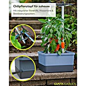 Gusta Garden Anzucht-Set Chili-Starter-Set (5 -tlg., Blau) | BAUHAUS