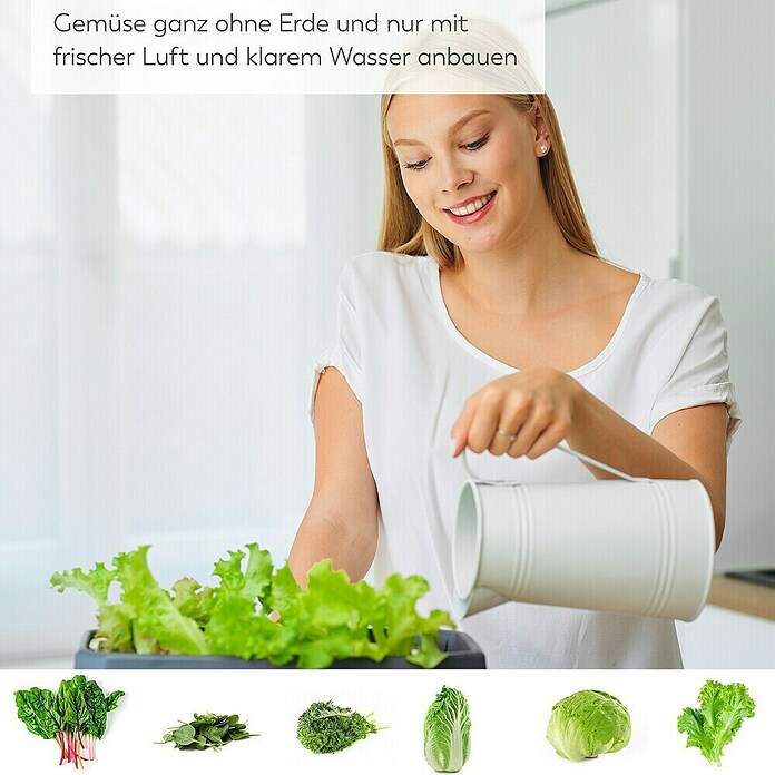 Gusta Garden Anzucht-Set Chili-Starter-Set (5 -tlg., Hellgrau) | BAUHAUS