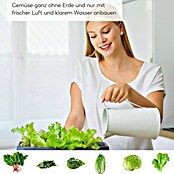 Gusta Garden Anzucht-Set Chili-Starter-Set (5 -tlg., Hellgrau) | BAUHAUS