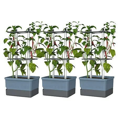 Gusta Garden  Pflanzgefäß Charly Chili