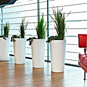 Euro3plast Pflanzsäule rund Tuit (Außenmaß (Ø x H): 33 x 61 cm, Kunststoff, Weiß Glänzend) | BAUHAUS