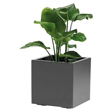Pflanzkübel Greener KEBE