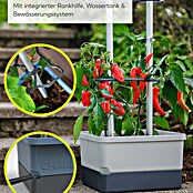 Gusta Garden Anzucht-Set Chili-Starter-Set (5 -tlg., Hellgrau) | BAUHAUS