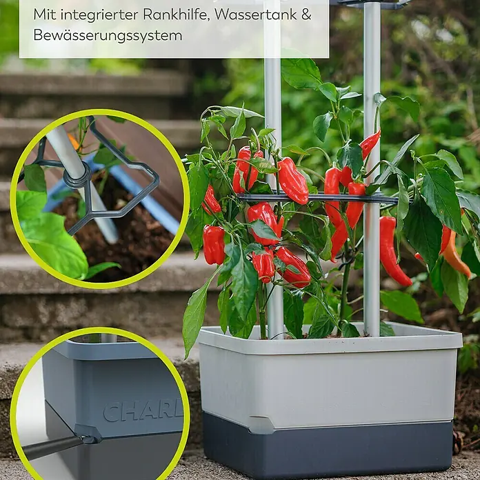 Gusta Garden Anzucht-Set Chili-Starter-Set - 5 -tlg., Hellgrau - Produktansicht eines Chilli-Pflanzgefäßes mit integrierter Rankhilfe, Wassertank und Bewässerungssystem für den Anbau von Chilipflanzen.