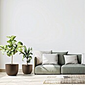 Pflanztopf Rio Greener (Außenmaß (Ø x H): 35 x 28 cm, Kunststoff, Braun) | BAUHAUS