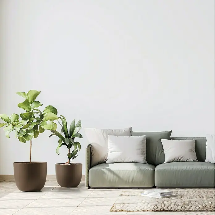 Pflanztopf Rio Greener - Außenmaß (Ø x H): 35 x 28 cm, Kunststoff, Braun - Zimmer mit modernem Sofa, Kissen, Pflanzen und einem Teppich. Das Sofa ist hellgrün und die Kissen sind weiß und grau.