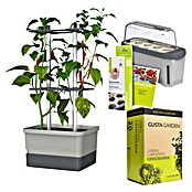 Gusta Garden Anzucht-Set Chili-Starter-Set (5 -tlg., Hellgrau) | BAUHAUS