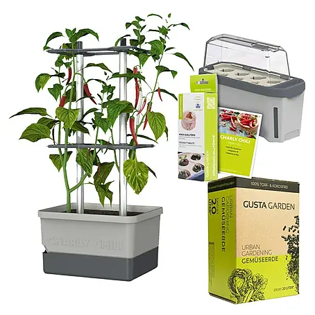Gusta Garden  Anzucht-Set Chili-Starter-Set