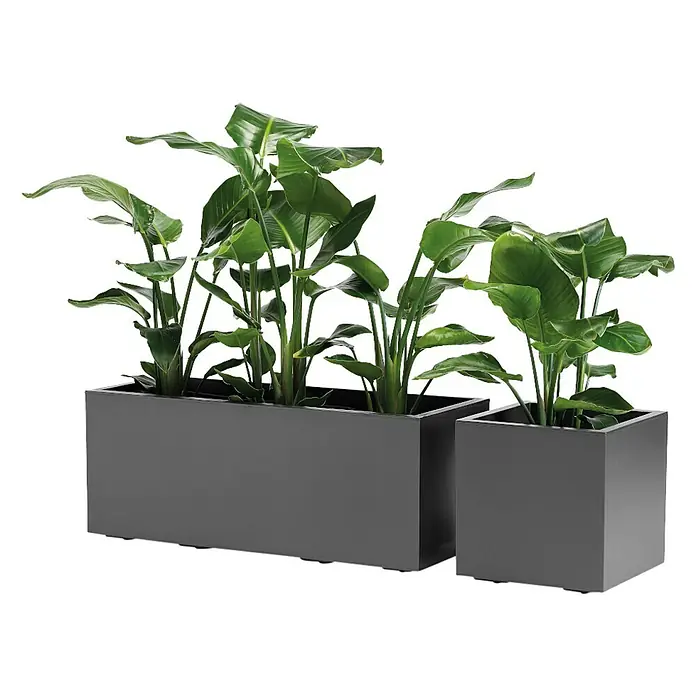 Pflanzkübel Greener KEBE - Außenmaß (L x B x H): 39,5 x 39,5 x 39,5 cm, Kunststoff, Anthrazit - Elegante graue Pflanzgefäße mit üppigen grünen Pflanzen, die eine stilvolle und moderne Atmosphäre schaffen. Perfekt für Innen- und Außenbereiche.