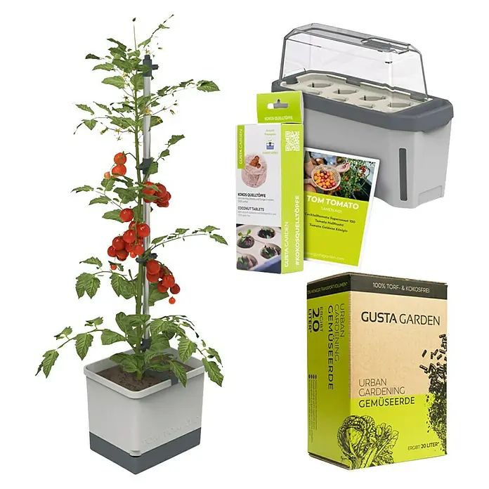 Gusta Garden Anzucht-Set Tomaten-Starter-Set - 5 -tlg., Hellgrau - Das Bild zeigt ein Tomatenzuchtset mit Pflanzgefäß, Anzuchterde, Kokostabletten und einem Mini-Gewächshaus zur Aufzucht von Tomatenpflanzen.