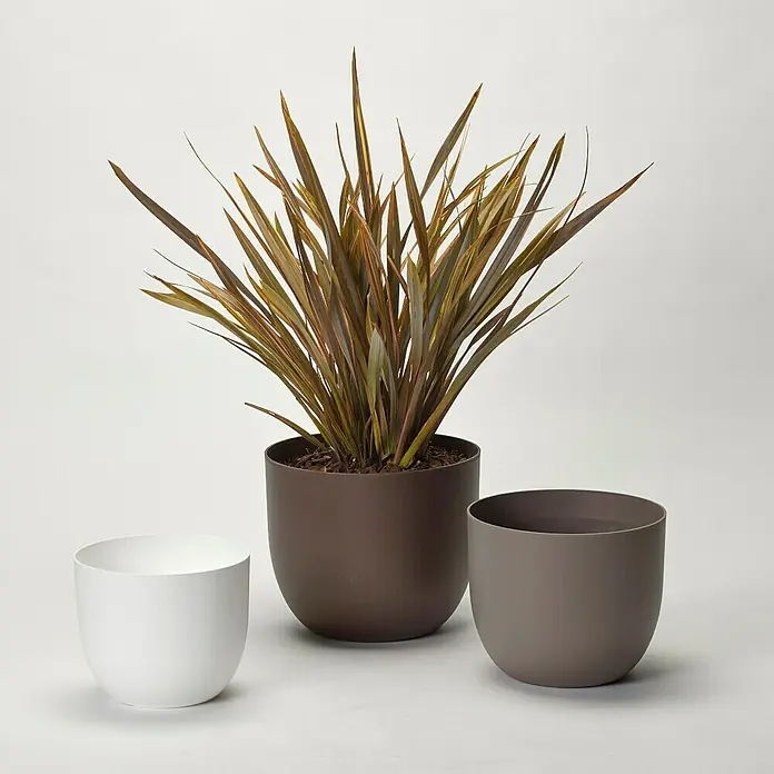 Pflanztopf Rio Greener - Außenmaß (Ø x H): 40 x 32,5 cm, Kunststoff, Taupe - Eine Zimmerpflanze in einem braunen Übertopf, umgeben von einem weißen und einem grauen Übertopf auf einem hellen Untergrund.