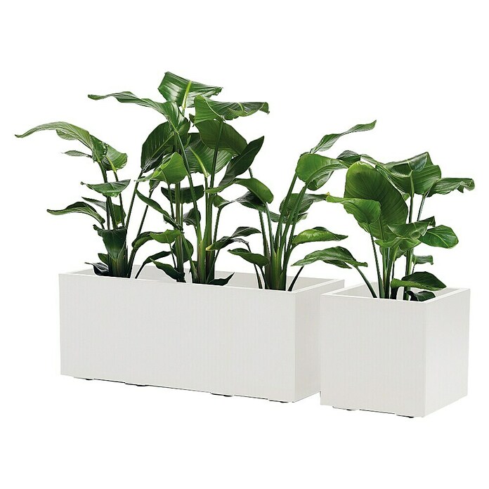 Pflanzkasten Greener KEBE (Außenmaß (L x B x H): 99,5 x 39,5 x 39,5 cm, Kunststoff, Weiß) | BAUHAUS