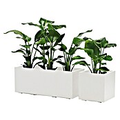 Pflanzkasten Greener KEBE (Außenmaß (L x B x H): 99,5 x 39,5 x 39,5 cm, Kunststoff, Weiß) | BAUHAUS