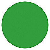 Etiqueta adhesiva punto verde (L x An: 21 x 21 cm)