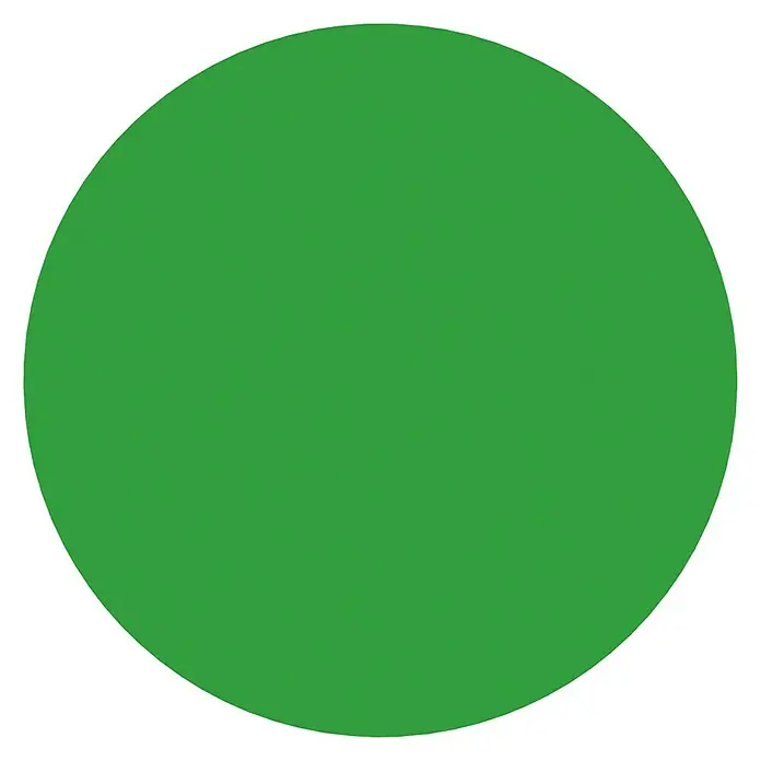 Etiqueta adhesiva punto verde - L x An: 21 x 21 cm - Un objeto circular verde vibrante, que presenta una representación vívida y audaz de un disco verde monocromático.