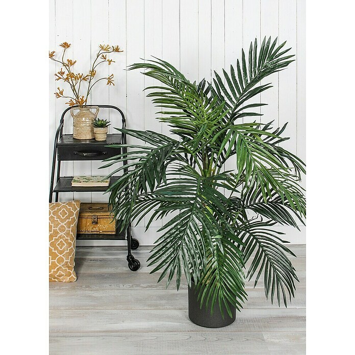 ARECA PALME GOLDEN CANE H150 GRUEN IN PLASTIKTOPF