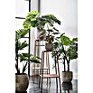 Kunstpflanze Monstera (Ø x H: 75 x 100 cm, Grün, Kunststoff) | BAUHAUS
