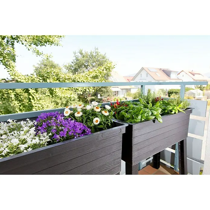 Garantia Urban Hochbeet - 75 x 37 x 65 cm, Kunststoff, Anthrazit - Zwei Garanta Pflanzkästen mit üppigen Blumen und Kräutern auf einem Balkon, die eine grüne Oase in urbaner Umgebung schaffen.