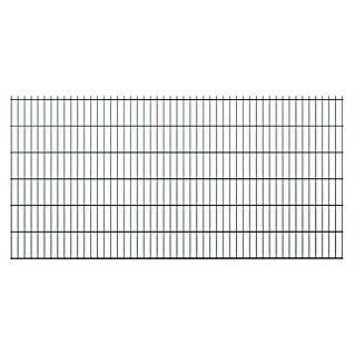 Mattenzaun Vega 2D (Anthrazit, B x H: 2 500 x 1 030 mm, Stahl)