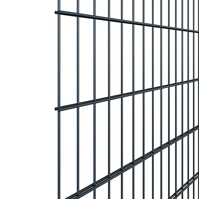 Mattenzaun Vega 2D (Anthrazit, B x H: 2 500 x 1 230 mm, Stahl) | BAUHAUS