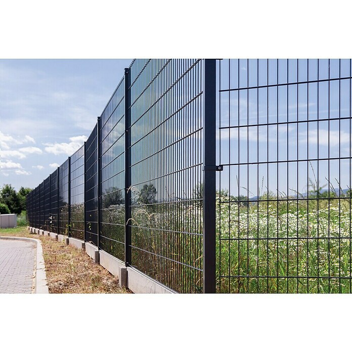 Mattenzaun Vega 2D (Anthrazit, B x H: 2 500 x 1 230 mm, Stahl) | BAUHAUS
