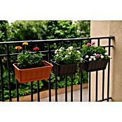 Geli Standard Balkonkasten (Länge: 60 cm, Anthrazit)