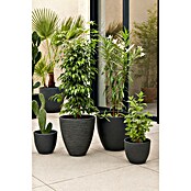Geli Maceta para planta Rimini (Diámetro exterior: 35 cm, Altura: 26,5 cm, Plástico, Antracita)