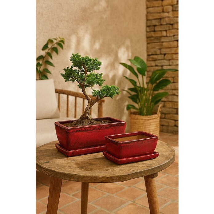 crasy trio nadeln bambus addiCraSyTrio Bamboo Short 24 cm kaufen  Bambusnadeln Hamburg  Strick und  Glck