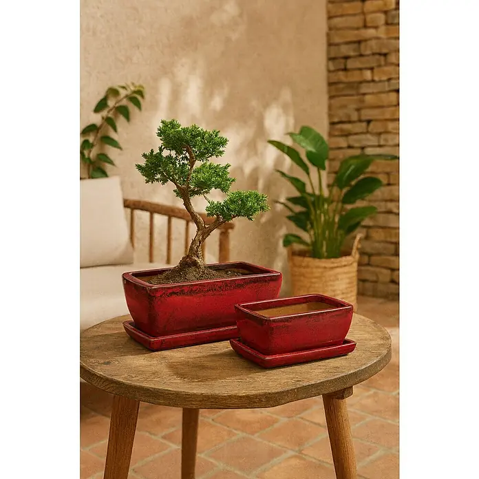 Macetero para plantas Sumba - Dimensiones externas (L x An x Al): 23 x 16 x 10 cm, Cerámica, Rojo - Dos macetas rojas se muestran sobre una mesa de madera, una con un árbol bonsai, creando una atmósfera tranquila y zen.