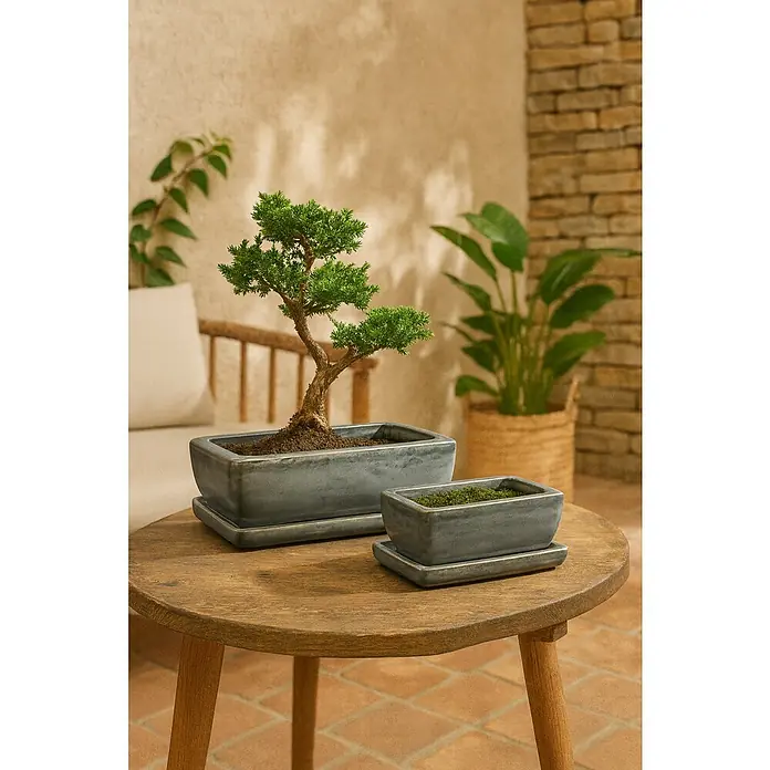 Macetero para plantas Sumba - Dimensiones externas (L x An x Al): 32 x 22 x 12 cm, Cerámica, Antracita - Un primer plano muestra dos jardineras grises sobre una mesa de madera, una con un bonsái y la otra plantada con musgo.