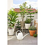 AQUARIUS GIESSKANNE 3,5l WEISS