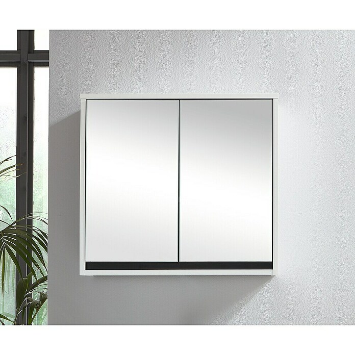 Basic Spiegelschrank Basic (60 x 20 cm, Ohne Beleuchtung, Weiß)
